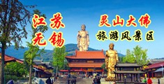 www。操江苏无锡灵山大佛旅游风景区