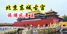 一级黄色舔阴网站中国北京-东城古宫旅游风景区